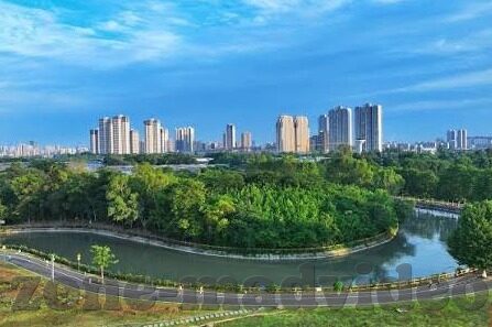 糖心视频app主页代言人-糖心视频app的新篇章,揭开代言人风采的序幕